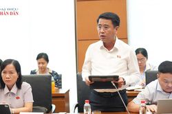 Thắt chặt trưng mua, bảo vệ quyền t&agrave;i sản