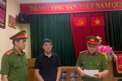 Khởi tố gi&aacute;m đốc doanh nghiệp khai th&aacute;c tr&aacute;i ph&eacute;p hơn 9.000 m&sup3; đất san lấp