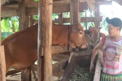 X&atilde; Xu&acirc;n Trường giải ng&acirc;n hơn 3,1 tỷ đồng vốn c&aacute;c chương tr&igrave;nh mục ti&ecirc;u quốc gia