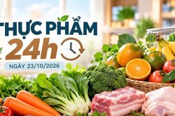 Thực phẩm 24h ngày 23/10: Cam sành giảm 15%, trứng gà từ 19.800 đồng/vỉ