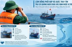 L&acirc;m Đồng phối hợp r&agrave; so&aacute;t, truy t&igrave;m t&agrave;u c&aacute; Quảng Ng&atilde;i chưa x&aacute;c định được vị tr&iacute;
