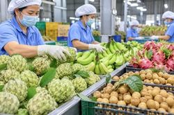 58 thông báo SPS liên quan đến an toàn thực phẩm và kiểm dịch