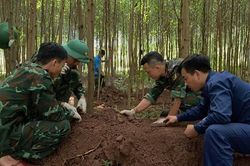 Quy tập được 20 h&agrave;i cốt liệt sỹ c&ugrave;ng nhiều di vật trong rừng tr&agrave;m ở Quảng Trị