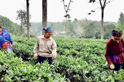Hà Nội ban hành quy định chuẩn nghèo đa chiều giai đoạn 2027-2030