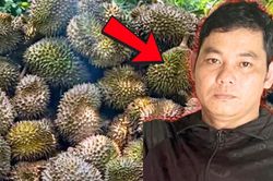 Ch&aacute;u ruột phun thuốc diệt cỏ ph&aacute; vườn sầu ri&ecirc;ng của ch&uacute; v&igrave; m&acirc;u thuẫn