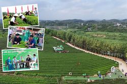Đánh thức giá trị văn hóa trà Trại Cài từ trải nghiệm di sản