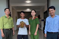 Giao nộp 'kim quy'