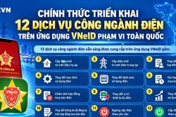 EVN triển khai 12 dịch vụ c&ocirc;ng tr&ecirc;n ứng dụng VNeID