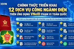 [INFOGRAPHIC] Người d&acirc;n c&oacute; thể thực hiện 12 dịch vụ điện qua VNeID