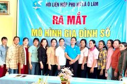 Phụ nữ đồng bào dân tộc Khmer ở An Giang chung tay phát triển kinh tế gia đình
