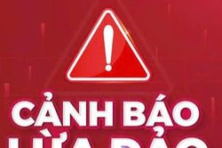 Cảnh b&aacute;o thủ đoạn giả mạo t&ecirc;n miền website để đ&aacute;nh cắp tiền, dữ liệu