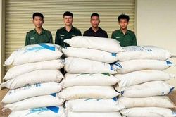 Đồn Biên phòng Cửa khẩu quốc tế Lao Bảo thu giữ hơn 36 tấn đường kính trắng nhập lậu