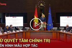 Từ quyết t&acirc;m ch&iacute;nh trị đến h&igrave;nh mẫu hợp t&aacute;c