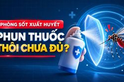 Ph&ograve;ng sốt xuất huyết: Phun thuốc th&ocirc;i chưa đủ!