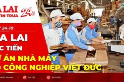 Điểm tin trưa: Gia Lai xúc tiến dự án nhà máy gỗ công nghiệp Việt Đức