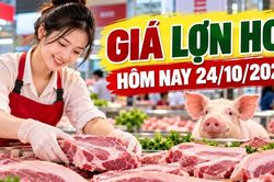Gi&aacute; lợn hơi h&ocirc;m nay 24/10/2026: Thấp nhất 46.000 đồng/kg