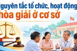 Nguy&ecirc;n tắc tổ chức, hoạt động h&ograve;a giải ở cơ sở