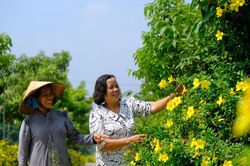 Người H&agrave; Nội tr&ecirc;n v&ugrave;ng đất Đạ Tẻh
