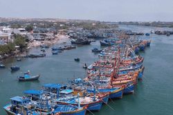 Người c&aacute;n bộ trẻ l&agrave;m theo lời B&aacute;c