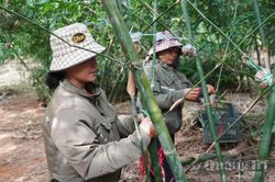 Ph&aacute;t triển OCOP từ lợi thế địa phương