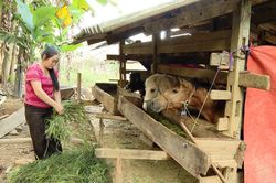 Thêm sinh kế, thêm cơ hội thoát nghèo