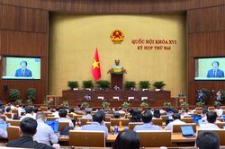 Kỳ vọng từ thực tiễn v&agrave; bứt ph&aacute; thể chế