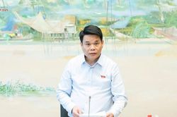 Tr&aacute;nh cạnh tranh kh&ocirc;ng l&agrave;nh mạnh giữa c&aacute;c địa phương trong thu h&uacute;t FDI