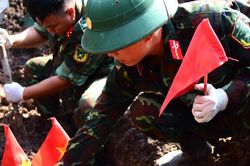 TP. Hồ Ch&iacute; Minh: Quy tập th&ecirc;m 10 h&agrave;i cốt liệt sĩ tại C&ocirc;ng vi&ecirc;n L&ecirc; Thị Ri&ecirc;ng
