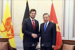 Tổng Bí thư, Chủ tịch nước Tô Lâm tiếp Bộ trưởng - Thủ hiến vùng Wallonie