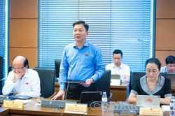 Đo&agrave;n ĐBQH C&agrave; Mau g&oacute;p &yacute; ho&agrave;n thiện c&aacute;c dự &aacute;n luật về văn ho&aacute;, an to&agrave;n thực phẩm v&agrave; sở hữu tr&iacute; tuệ