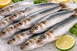 Loại cá thân bạc óng ánh, xưa ít người chuộng nay thành đặc sản tới 80.000 đồng/kg, được chuyên gia dinh dưỡng Mỹ 'hết lời khen'