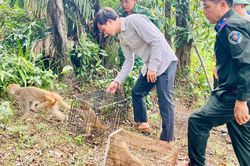 Thả nhiều c&aacute; thể động vật hoang d&atilde; qu&yacute; hiếm về rừng