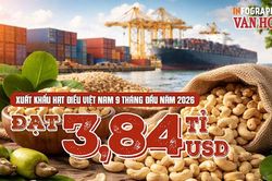Trung Quốc mua gần 1 tỉ USD hạt điều Việt Nam, tăng 20,9%