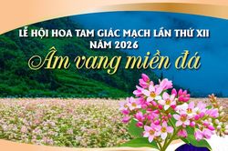 Lễ hội hoa tam gi&aacute;c mạch lần thứ XII năm 2026: '&Acirc;m vang miền đ&aacute;'