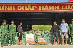 Bắt giữ vụ vận chuyển tr&aacute;i ph&eacute;p hơn 6 tấn thực phẩm kh&ocirc;ng r&otilde; nguồn gốc
