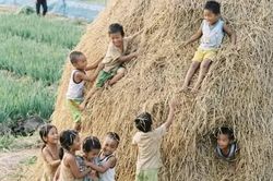 Vị của m&ugrave;a Thu
