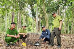 Vườn Quốc gia Kon Ka Kinh đẩy mạnh số h&oacute;a quản l&yacute;, bảo vệ rừng
