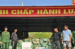 Ph&aacute;t hiện hơn 6 tấn nầm lợn, trứng g&agrave; non bốc m&ugrave;i ở bi&ecirc;n giới Quảng Ninh