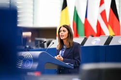 Nga v&agrave; Ukraine ngừng bắn cục bộ, Ph&oacute; Chủ tịch Nghị viện ch&acirc;u &Acirc;u dừng tuyệt thực