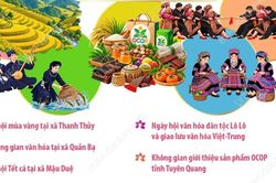 Lễ hội hoa tam gi&aacute;c mạch lần thứ 12 năm 2026: '&Acirc;m vang miền đ&aacute;'