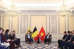 Tổng B&iacute; thư, Chủ tịch nước T&ocirc; L&acirc;m tiếp Thủ hiến v&ugrave;ng Flanders của Bỉ