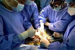 Hội Bảo vệ quyền trẻ em Việt Nam: Cần cơ chế đ&aacute;nh gi&aacute; độc lập, bảo đảm lợi &iacute;ch tốt nhất của trẻ em khi xem x&eacute;t đề xuất hiến tạng