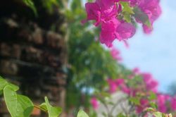 Bản ballad t&igrave;nh y&ecirc;u