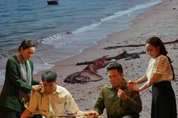 T&agrave;n tro kh&ocirc;ng thể thi&ecirc;u rụi thanh xu&acirc;n