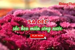 SA Đ&Eacute;C &ndash; SẮC HOA MIỀN S&Ocirc;NG NƯỚC