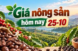 Gi&aacute; n&ocirc;ng sản h&ocirc;m nay (25-10): C&agrave; ph&ecirc; mất mốc 90.000 đồng/kg, hồ ti&ecirc;u đi ngang