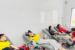 Gia Lai: Tiếp nhận 65 đơn vị m&aacute;u to&agrave;n phần v&agrave; 3 đơn vị tiểu cầu m&aacute;y