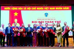 Luật sư V&otilde; Hồng Nam giữ chức Chủ nhiệm Đo&agrave;n Luật sư tỉnh Gia Lai
