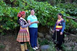 Khi nghị quyết 