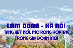 L&acirc;m Đồng - H&agrave; Nội tăng kết nối, mở rộng hợp t&aacute;c trong giai đoạn mới